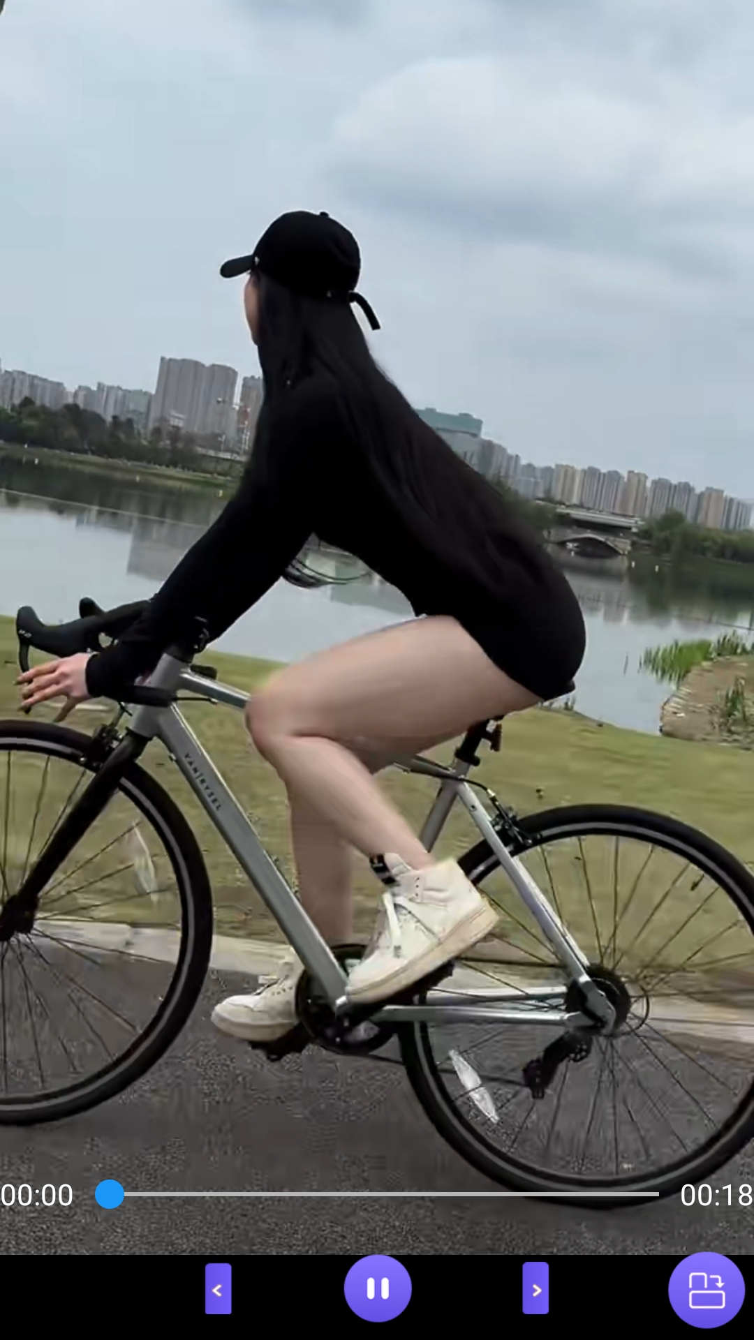 多脚的爬虫截图
